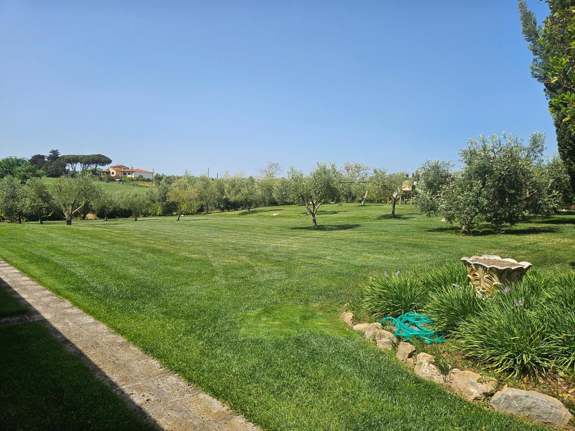 Agriturismo Il Migliarino Rispescia Exterior photo